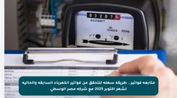 متابعة فواتير.. طريقة سهلة للتحقق من فواتير الكهرباء السابقة والحالية لشهر أكتوبر 2025 مع شركة مصر الوسطى